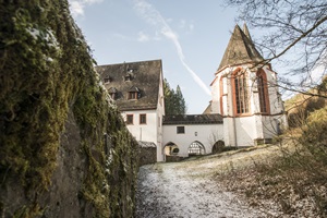 Kloster Ehrenstein