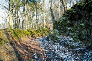 Wanderweg Mettelshahner Schweiz