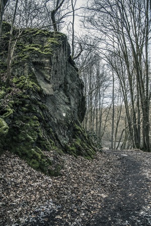 Wanderweg Mettelshahner Schweiz