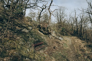 Mettelshahner Schweiz Wanderweg