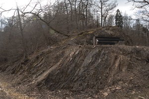 Aussichtspunkt Mettelshahn Mettelshahner Schweiz