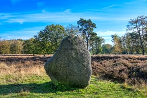 Niedergrafschafter Schweiz Grenze Niederlande
