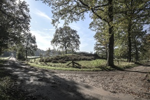 Hezingen