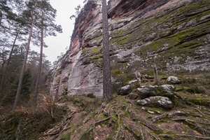 Pfälzer Schweiz Dahn