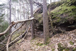 Dahner Felsenland