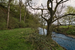 Plattener Schweiz - 05.04.2026