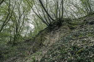 Felsen Plattener Schweiz