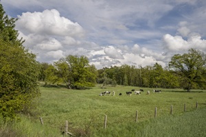 Ausblick Prignitzer Schweiz