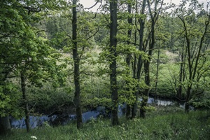 Schlatbach Prignitzer Schweiz