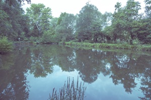 Angelteich Rheinhessische Schweiz Neu-Bamberg