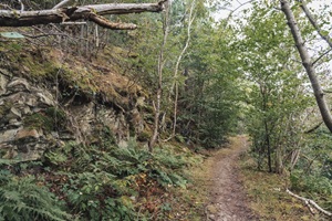 Wanderweg Rheinhessische Schweiz