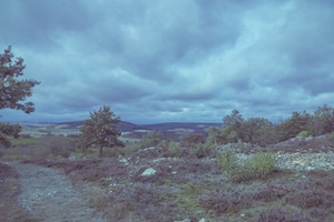 Ausblick Rheinhessische Schweiz