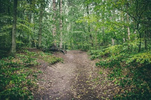 Wanderweg Rostocker Schweiz