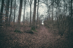 Wanderweg Rühler Schweiz