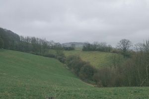 Rühler Schweiz
