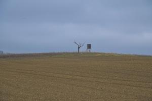 Jagdstand Rühler Schweiz