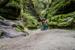Sächsische Schweiz