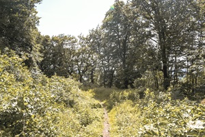 Wanderweg Schaumburger Schweiz