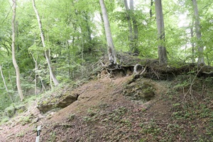 Wanderweg Schaumburger Schweiz