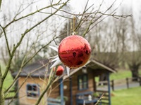 Weihnachtsbaumkugel Seppenrader Schweiz