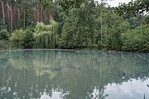 Teich Spalter Schweiz