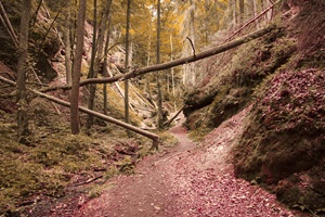 Massendorfer Schlucht Spalter Schweiz