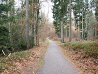 Wanderweg Lütjensee