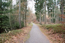 Wanderweg Lütjensee