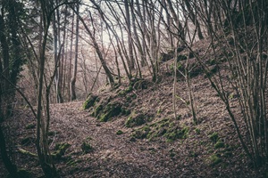 Wanderweg Sulzbacher Schweiz