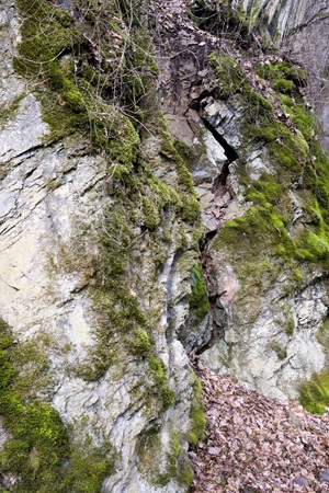 Felsen Sulzbacher Schweiz