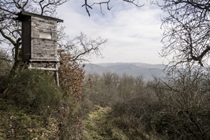 Sulzbacher Schweiz - 24.01.2026