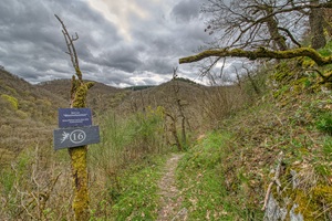 Elfenpfad Trarbacher Schweiz