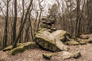 Wildstein Trarbacher Schweiz
