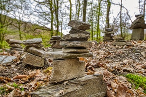 Trarbacher Schweiz - 04.04.2026