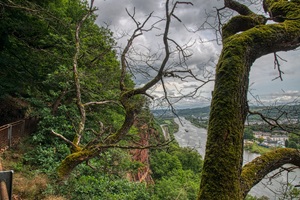 Trierer Schweiz Mosel