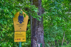 Naturschutzgebiet Tzschetzschnower Schweiz