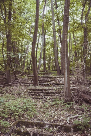 Lost Place Naturbühne Tzschetzschnower Schweiz