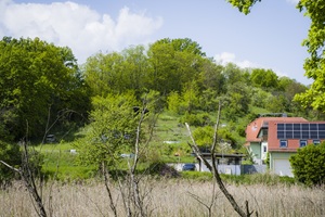 Weinberge Güldendorf