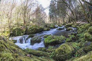 Vogtländische Schweiz