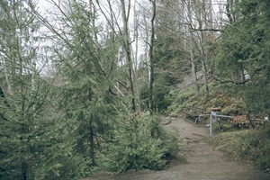 Rastplatz Wolkensteiner Schweiz