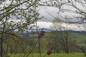Wolkensteiner Schweiz