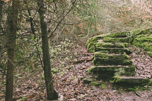 Wanderweg Wolkensteiner Schweiz